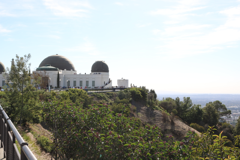 Illustration for article titled Griffith Park Photodump